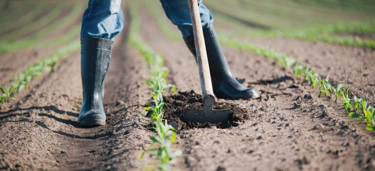 Τρόφιμα: Χάνουμε τη μάχη και στο «ράφι» και στο «χωράφι»