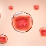 Το «χρυσό αίμα» που σώζει ζωές: Η πιο σπάνια ομάδα στον κόσμο