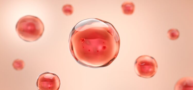 Το «χρυσό αίμα» που σώζει ζωές: Η πιο σπάνια ομάδα στον κόσμο