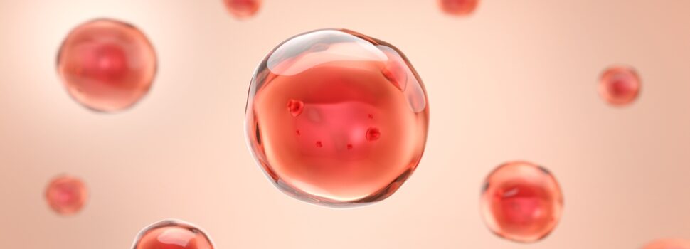 Το «χρυσό αίμα» που σώζει ζωές: Η πιο σπάνια ομάδα στον κόσμο