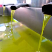 «Καμπανάκι» για τη μείωση παραγωγής ελαιολάδου – Πού κυμαίνεται η τιμή στο ράφι