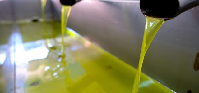 «Καμπανάκι» για τη μείωση παραγωγής ελαιολάδου – Πού κυμαίνεται η τιμή στο ράφι