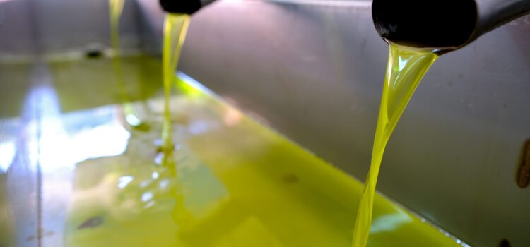 «Καμπανάκι» για τη μείωση παραγωγής ελαιολάδου – Πού κυμαίνεται η τιμή στο ράφι