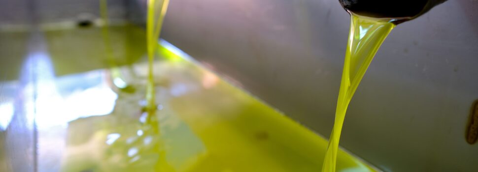 «Καμπανάκι» για τη μείωση παραγωγής ελαιολάδου – Πού κυμαίνεται η τιμή στο ράφι