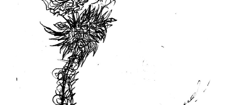 Έξη ποιητικές ακροστοιχίδες από την συλλογή μου “Η ΟΘΟΝΗ ΤΩΝ ΟΝΟΜΑΤΩΝ”, Εκ. Απόπειρα. (Το Όνομα ΣΑΒΒΑΣ!)