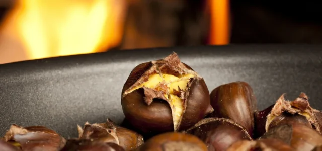 Κάστανα: Τι αλλάζει αν τα τρώτε ωμά, ψητά ή βραστά – Διατροφικά στοιχεία και οφέλη υγείας