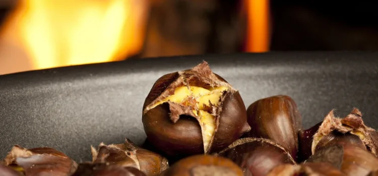 Κάστανα: Τι αλλάζει αν τα τρώτε ωμά, ψητά ή βραστά – Διατροφικά στοιχεία και οφέλη υγείας