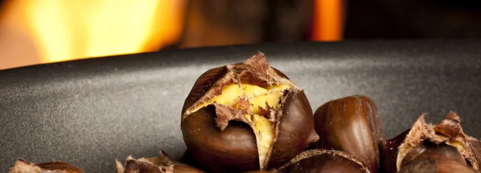 Κάστανα: Τι αλλάζει αν τα τρώτε ωμά, ψητά ή βραστά – Διατροφικά στοιχεία και οφέλη υγείας