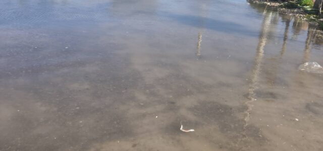 Πρωτοφανές φαινόμενο θαλάσσιας εισβολής στην περιοχή μας – Η πραγματικότητα δεν μπορεί πλέον να αγνοείται