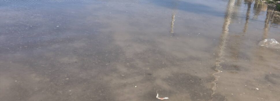 Πρωτοφανές φαινόμενο θαλάσσιας εισβολής στην περιοχή μας – Η πραγματικότητα δεν μπορεί πλέον να αγνοείται