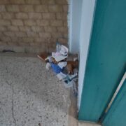 20 ημέρες χωρίς καθαρίστρια το 1ο ημερήσιο ΕΠΑΛ