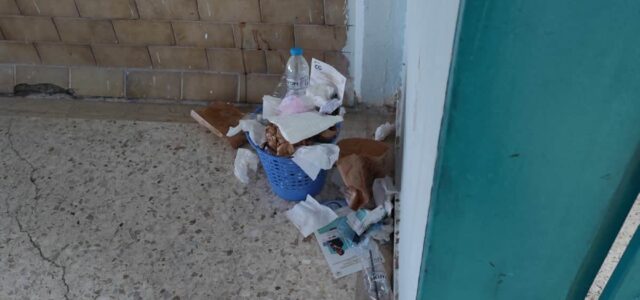 20 ημέρες χωρίς καθαρίστρια το 1ο ημερήσιο ΕΠΑΛ