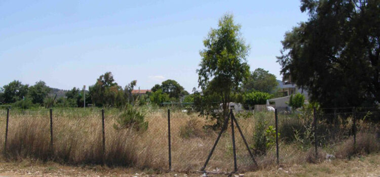 Ακαθάριστα οικόπεδα: Αυξάνεται κατά 100% το πρόστιμο -Τι αλλάζει στους ελέγχους το 2026