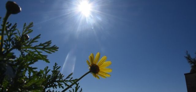 Αλκυονίδες μέρες 2026: Πότε αναμένονται και τι προβλέπουν γι’ αυτές τα Μερομήνια