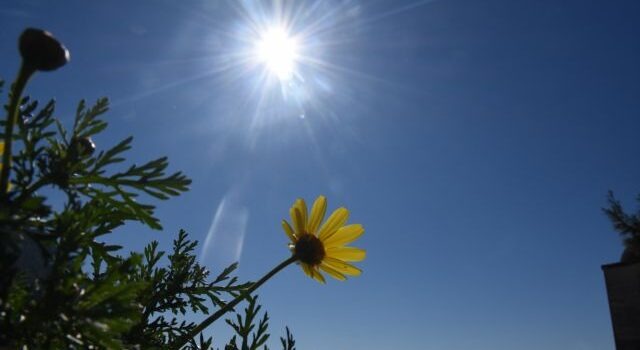 Αλκυονίδες μέρες 2026: Πότε αναμένονται και τι προβλέπουν γι’ αυτές τα Μερομήνια