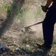 «Ενεργή Μάχη»: Τι προβλέπει το νέο νομοσχέδιο για τους καθαρισμούς οικοπέδων