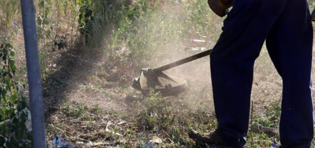 «Ενεργή Μάχη»: Τι προβλέπει το νέο νομοσχέδιο για τους καθαρισμούς οικοπέδων