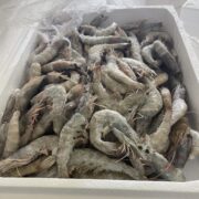 Νίκος Χαρδαλιάς: «Δεν σταματάμε, η προστασία της δημόσιας υγείας δεν είναι διαπραγματεύσιμη. Είναι υποχρέωσή μας απέναντι στην κοινωνία»