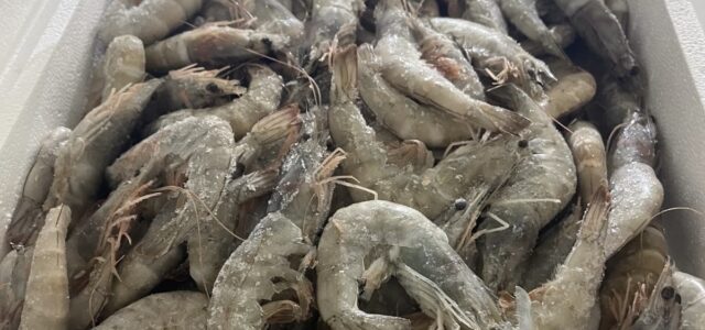 Νίκος Χαρδαλιάς: «Δεν σταματάμε, η προστασία της δημόσιας υγείας δεν είναι διαπραγματεύσιμη. Είναι υποχρέωσή μας απέναντι στην κοινωνία»