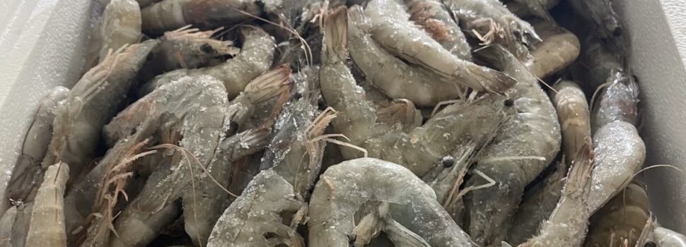 Νίκος Χαρδαλιάς: «Δεν σταματάμε, η προστασία της δημόσιας υγείας δεν είναι διαπραγματεύσιμη. Είναι υποχρέωσή μας απέναντι στην κοινωνία»