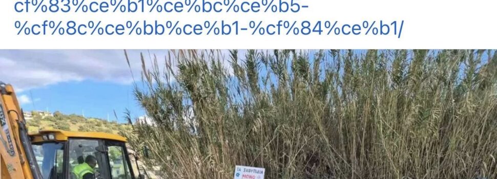 ΤΟ ΜΕΓΑΛΟ ΕΠΙΤΕΥΓΜΑ ΤΗΣ ΔΗΜΟΤΙΚΗΣ ΑΡΧΗΣ ΝΑ ΚΑΤΑΦΕΡΕΙ ΝΑ ΜΑΖΕΨΕΙ ΤΑ ΣΚΟΥΠΙΔΙΑ ΜΕΤΑ ΑΠΟ ΕΝΑ ΧΡΟΝΟ…