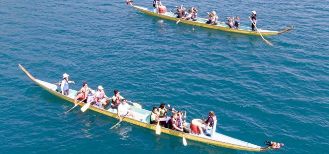 Ελληνική Ομοσπονδία Κάνοε-Καγιάκ, SUP, Surfing