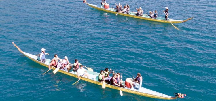 Ελληνική Ομοσπονδία Κάνοε-Καγιάκ, SUP, Surfing