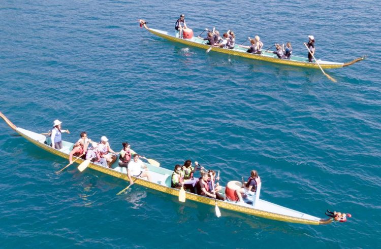 Ελληνική Ομοσπονδία Κάνοε-Καγιάκ, SUP, Surfing