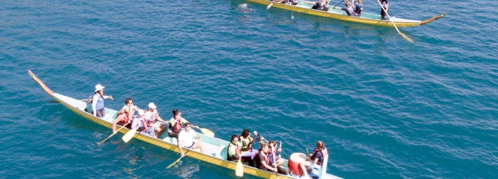 Ελληνική Ομοσπονδία Κάνοε-Καγιάκ, SUP, Surfing