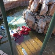 Εικόνες ντροπής σε παιδική χαρά στη Σαλαμίνα – Σκουπίδια και λιμνάζον νερό λίγα μέτρα από το Δημαρχείο