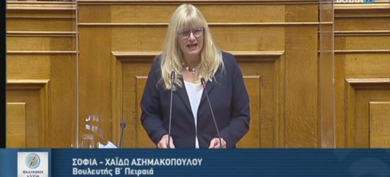 Σοφία-Χάιδω Ασημακοπούλου. Δημιουργία Ειδικού Νηπιαγωγείου και δομών δευτεροβάθμιας εκπαίδευσης για μαθήτριες και μαθητές με αναπηρία στη Σαλαμίνα