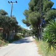 Πρανή δρόμων και ανεξέλεγκτη βλάστηση: Ποιος έχει την ευθύνη;