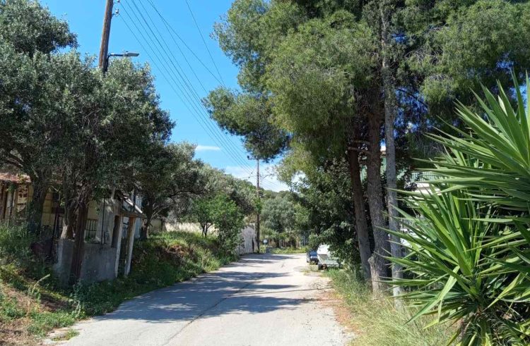 Πρανή δρόμων και ανεξέλεγκτη βλάστηση: Ποιος έχει την ευθύνη;