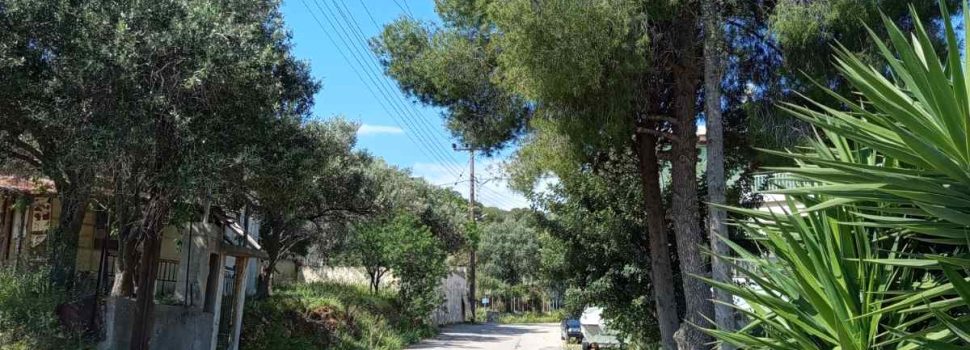 Πρανή δρόμων και ανεξέλεγκτη βλάστηση: Ποιος έχει την ευθύνη;
