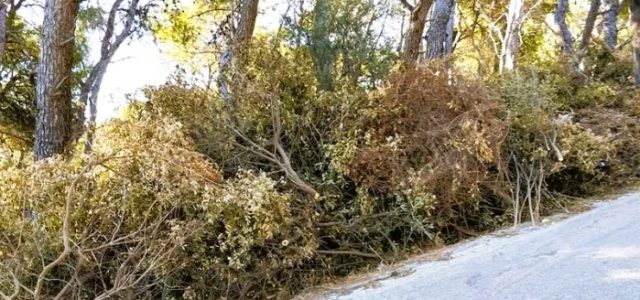 Ποιον βαρύνει η υποχρέωση απομάκρυνσης των αποβλήτων από τους καθαρισμούς οικοπέδων;