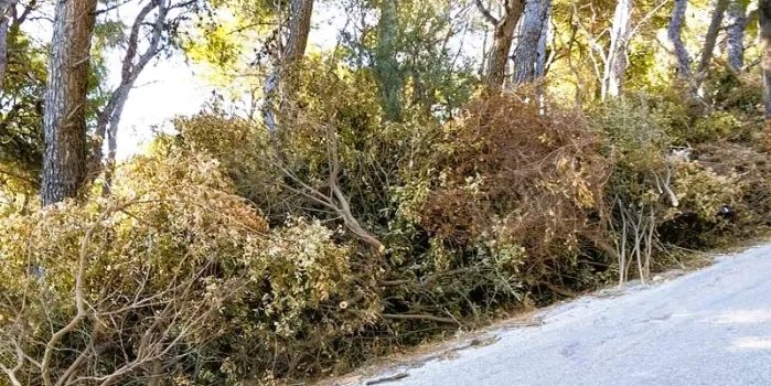 Ποιον βαρύνει η υποχρέωση απομάκρυνσης των αποβλήτων από τους καθαρισμούς οικοπέδων;