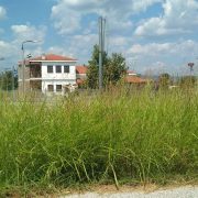 Όταν ο πολίτης τιμωρείται και ο δήμος «συστήνεται»: η άνιση ευθύνη για τα ακαθάριστα χόρτα.