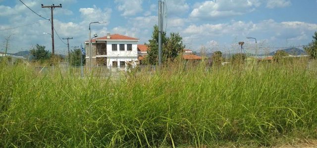 Όταν ο πολίτης τιμωρείται και ο δήμος «συστήνεται»: η άνιση ευθύνη για τα ακαθάριστα χόρτα.