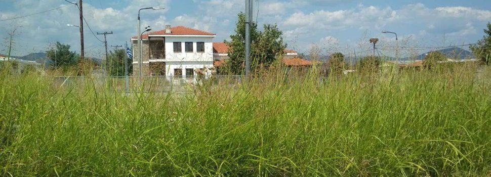 Όταν ο πολίτης τιμωρείται και ο δήμος «συστήνεται»: η άνιση ευθύνη για τα ακαθάριστα χόρτα.
