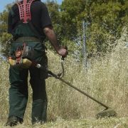 Ακαθάριστα οικόπεδα: Σαρωτικοί έλεγχοι και πρόστιμα