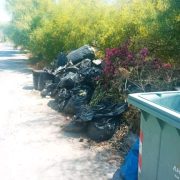 Κάθε Χρόνο και Χειρότερα Μέχρι Ποτέ;
