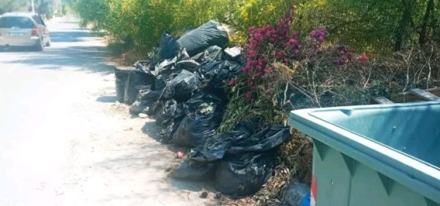 Κάθε Χρόνο και Χειρότερα Μέχρι Ποτέ;