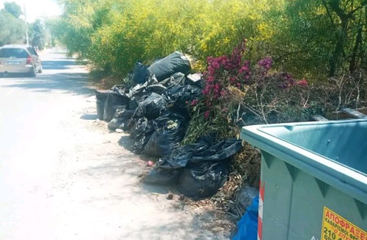 Το Θαύμα της Σαλαμίνας