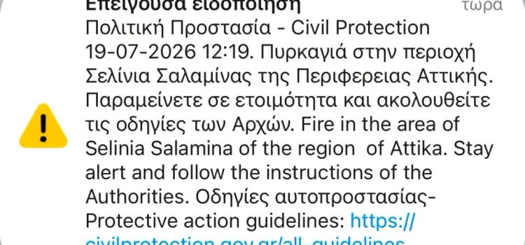 Φωτιά τώρα στα Σελήνια – Επιχειρούν επίγειες και εναέριες δυνάμεις