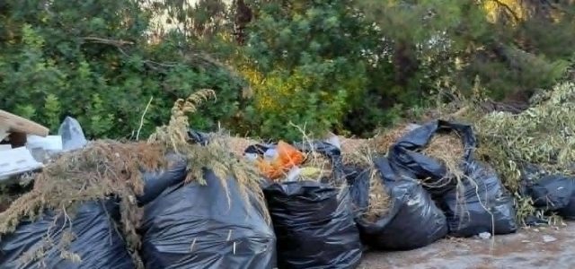 Ξερά κλαδιά και χόρτα στο Αιάντειο, κίνδυνος πυρκαγιάς