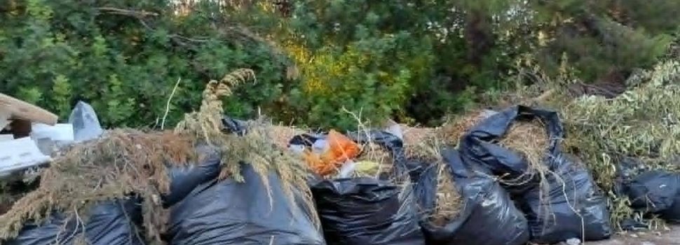 Ξερά κλαδιά και χόρτα στο Αιάντειο, κίνδυνος πυρκαγιάς