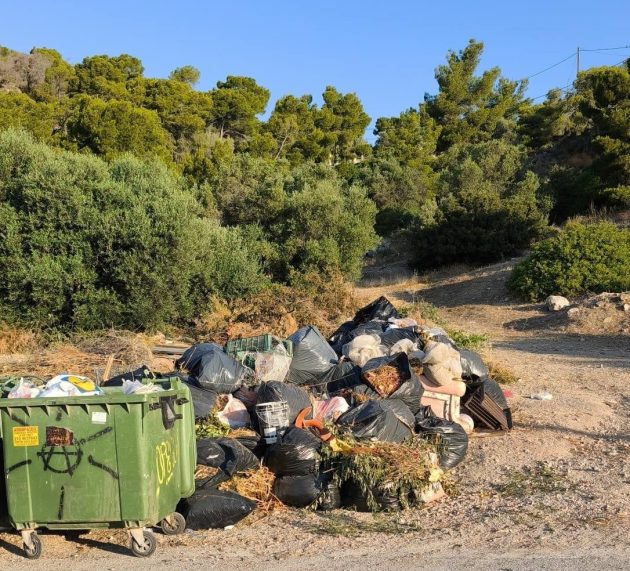 Τα σκουπίδια έφτασαν στη Βουλή – Πόσο ακόμη θα κάνουμε πως δεν βλέπουμε;