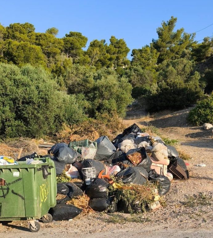 Τα σκουπίδια έφτασαν στη Βουλή – Πόσο ακόμη θα κάνουμε πως δεν βλέπουμε;