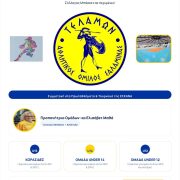 TEΛΑΜΩΝ ΓΥΝΑΙΚΕΙΟ ΜΠΑΣΚΕΤ