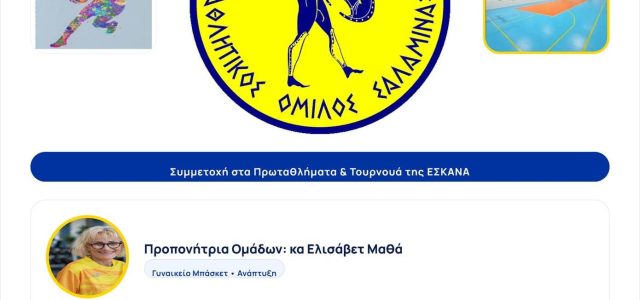 TEΛΑΜΩΝ ΓΥΝΑΙΚΕΙΟ ΜΠΑΣΚΕΤ